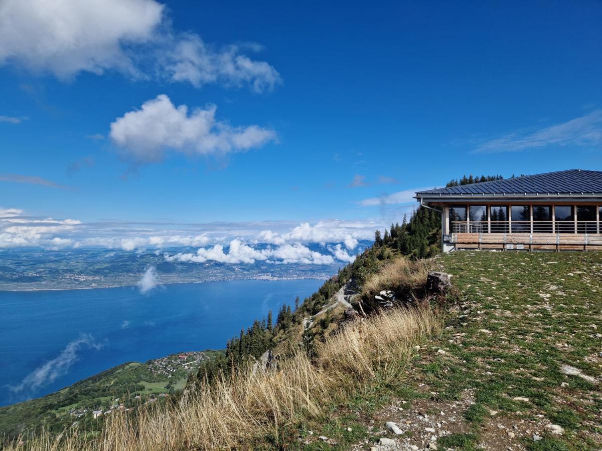 Appartement Tout Confort Montagne Et Lac Leman تولو المظهر الخارجي الصورة