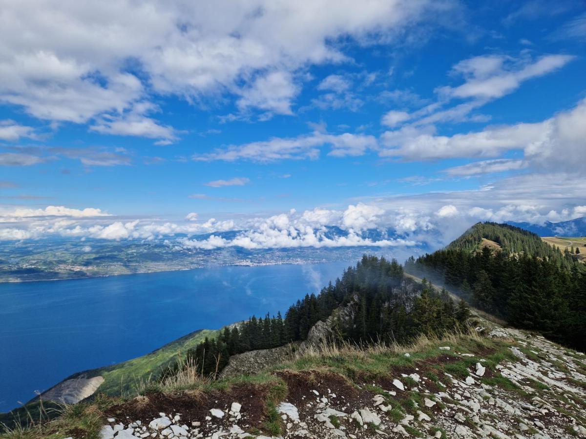 Appartement Tout Confort Montagne Et Lac Leman تولو المظهر الخارجي الصورة